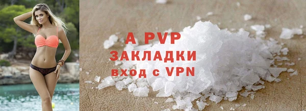 стаф Алзамай