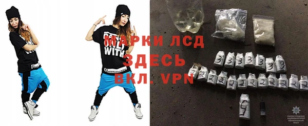 стаф Алзамай