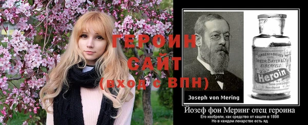 мет Алексин