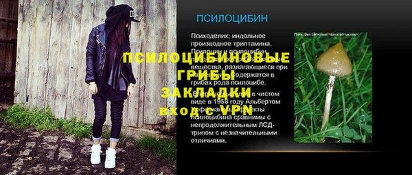 стаф Алзамай