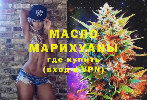 мет Алексин