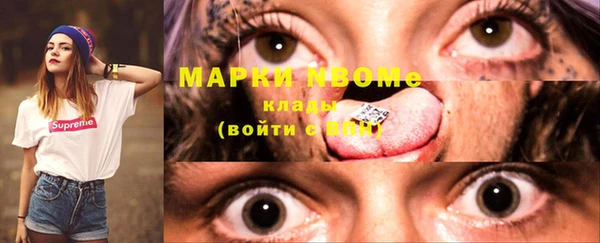 стаф Алзамай