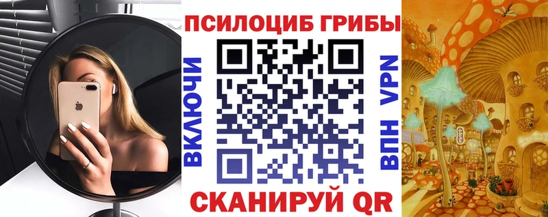 Галлюциногенные грибы Psilocybe  Бирюч 